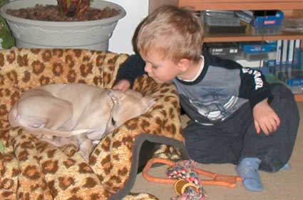 My Grandson about to kiss the puppy!